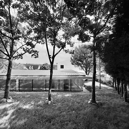 Casa Do Carvalhal - Quinta Do Soldado Vila Alquerubim Exterior foto