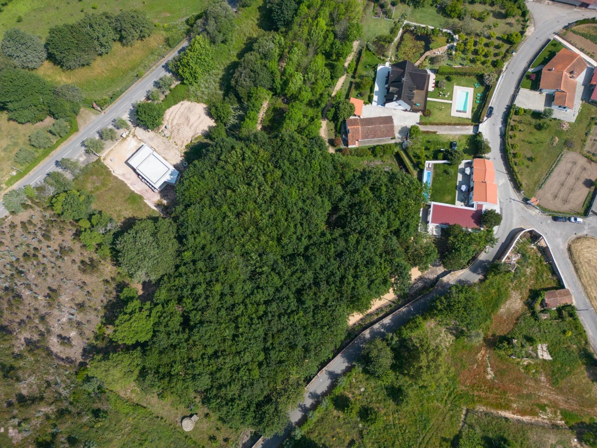 Casa Do Carvalhal - Quinta Do Soldado Vila Alquerubim Exterior foto